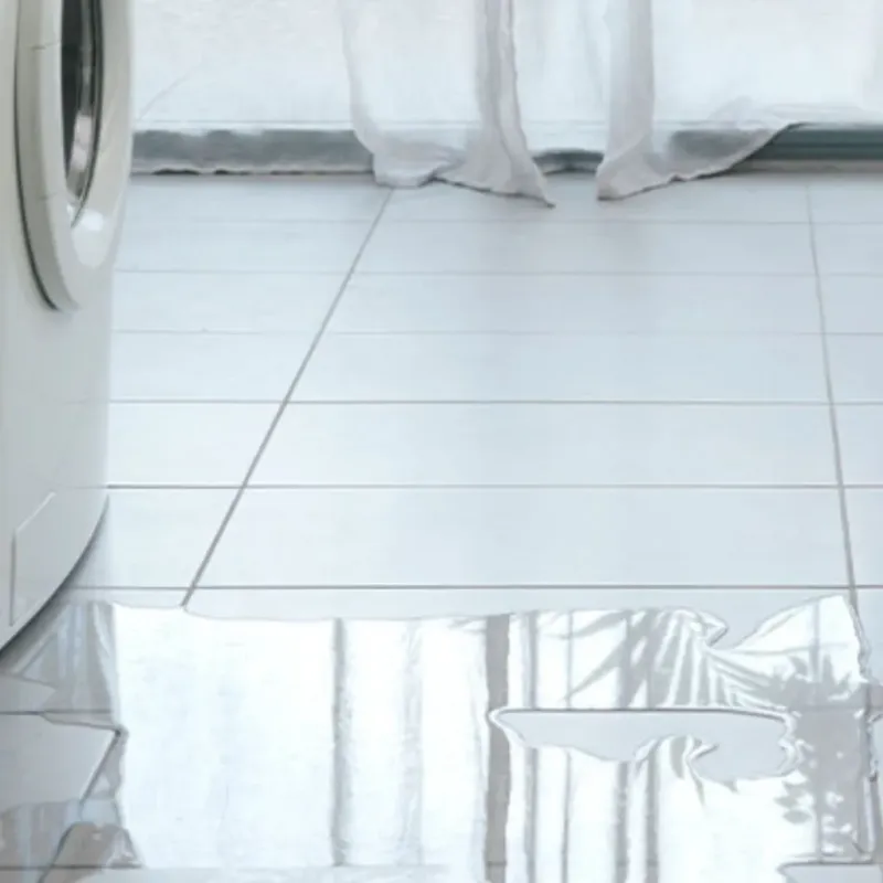 Appliance Leak Cleanup in Brookville, IN