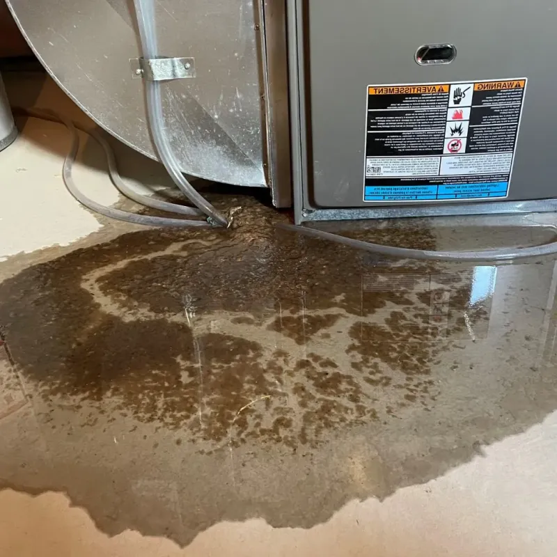 Pipe Burst and Leak Restoration in Brookville, IN