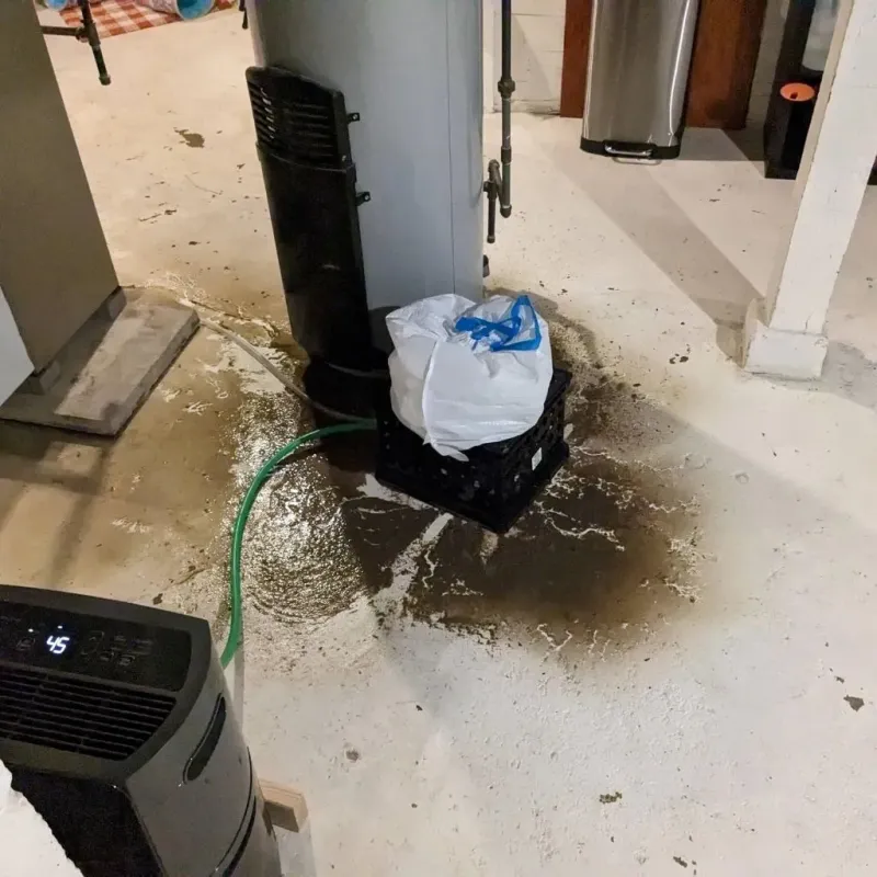 Sewage Backup Cleanup Service in Brookville, IN